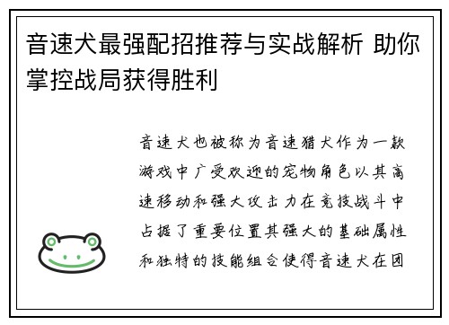音速犬最强配招推荐与实战解析 助你掌控战局获得胜利